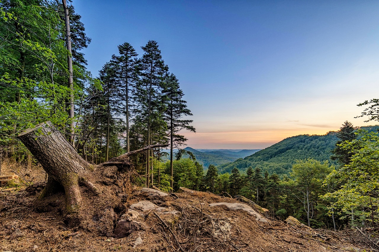 Chennai - Pondicherry - Hyderabad - Yercaud